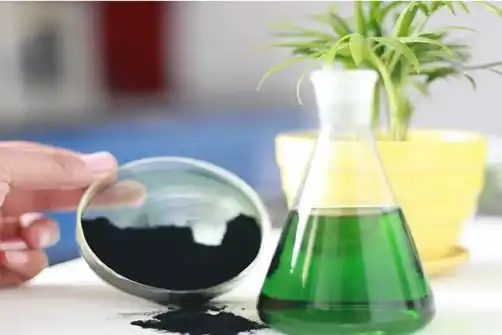 Chlorophyll Powder Offers Stable Plant-Based Coloring Options For Food And Beverage Manufacturers